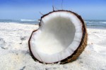 Кокосовая пальма (кокос)